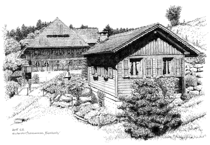 Hinterdorfschwummen, Biembach, 2015